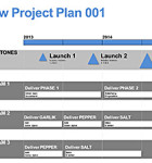 New Project Plan with Roadmap The New Project Plan with Roadmap Template is a Project Management presentation tool using infographics styling